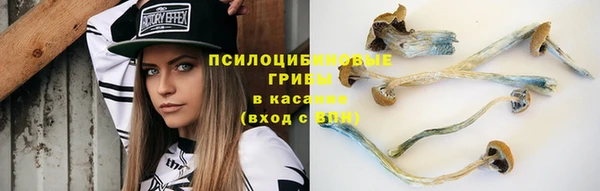 каннабис Абаза