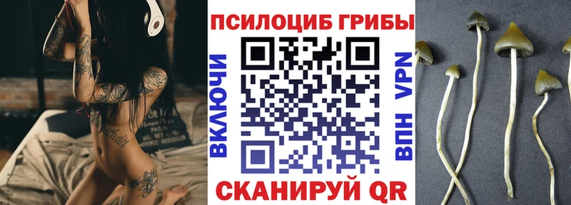 где купить наркотик  Ковдор  Галлюциногенные грибы GOLDEN TEACHER 